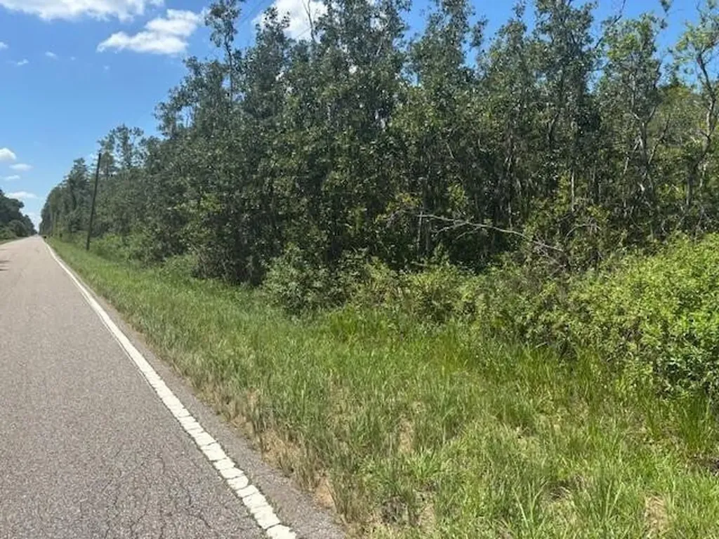0 Sweet Hill Road Polk City FL 33868