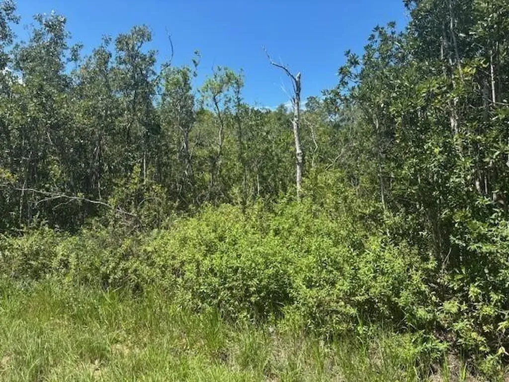0 Sweet Hill Road Polk City FL 33868