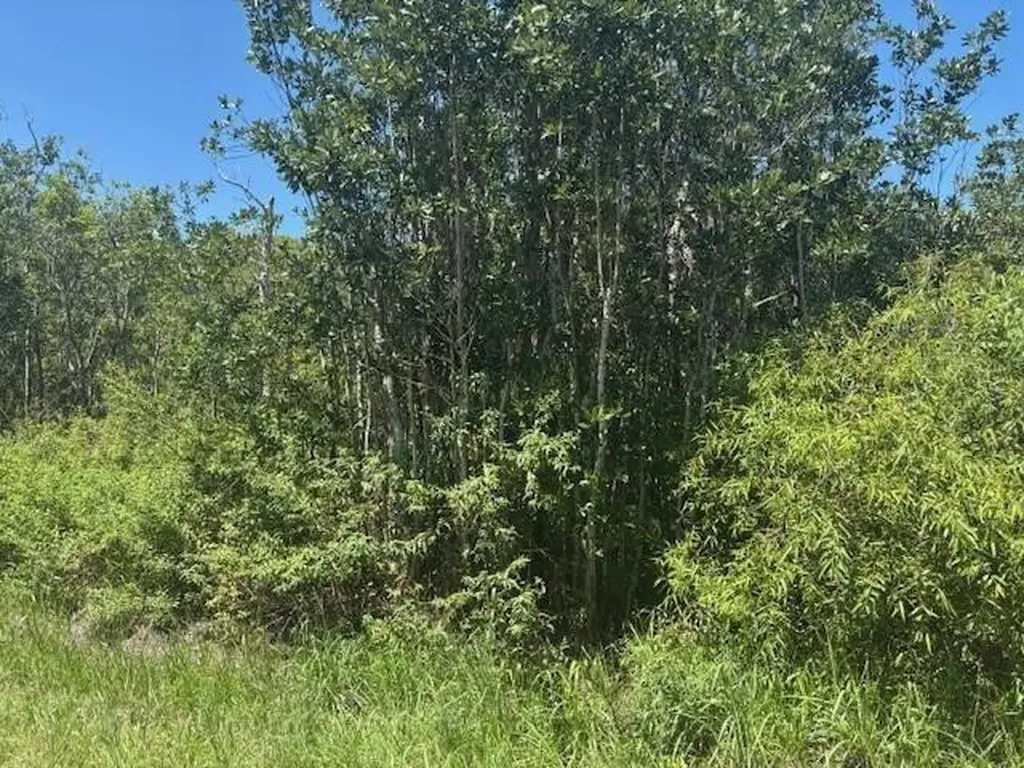 0 Sweet Hill Road Polk City FL 33868