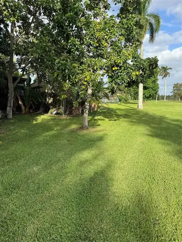 936 W Tropical Way Plantation FL 33317