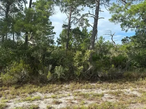 635 Boylston Street Lake Placid FL 33852
