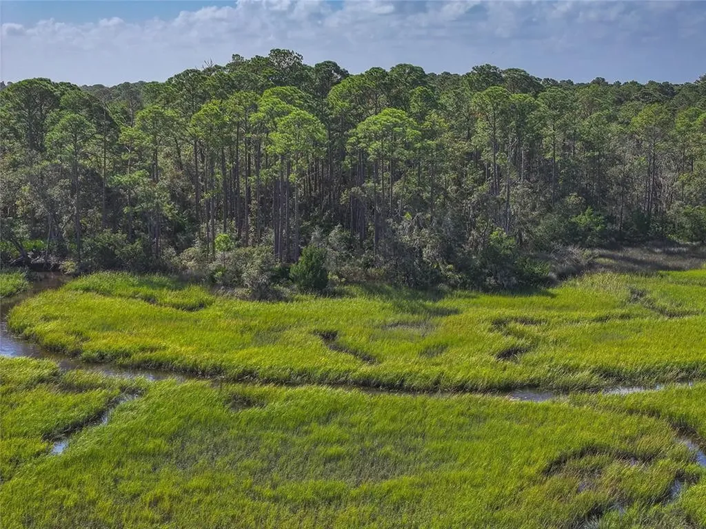 0 Mango Lane Fernandina Beach FL 32034