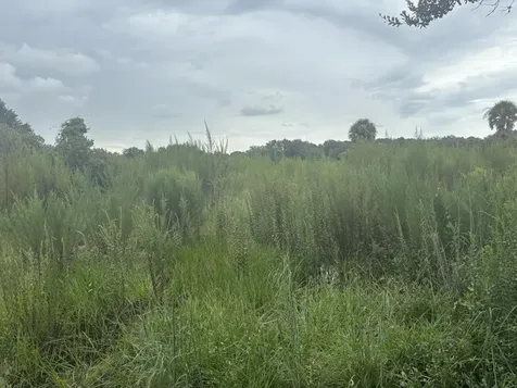 0 294th Street Okeechobee FL 34972