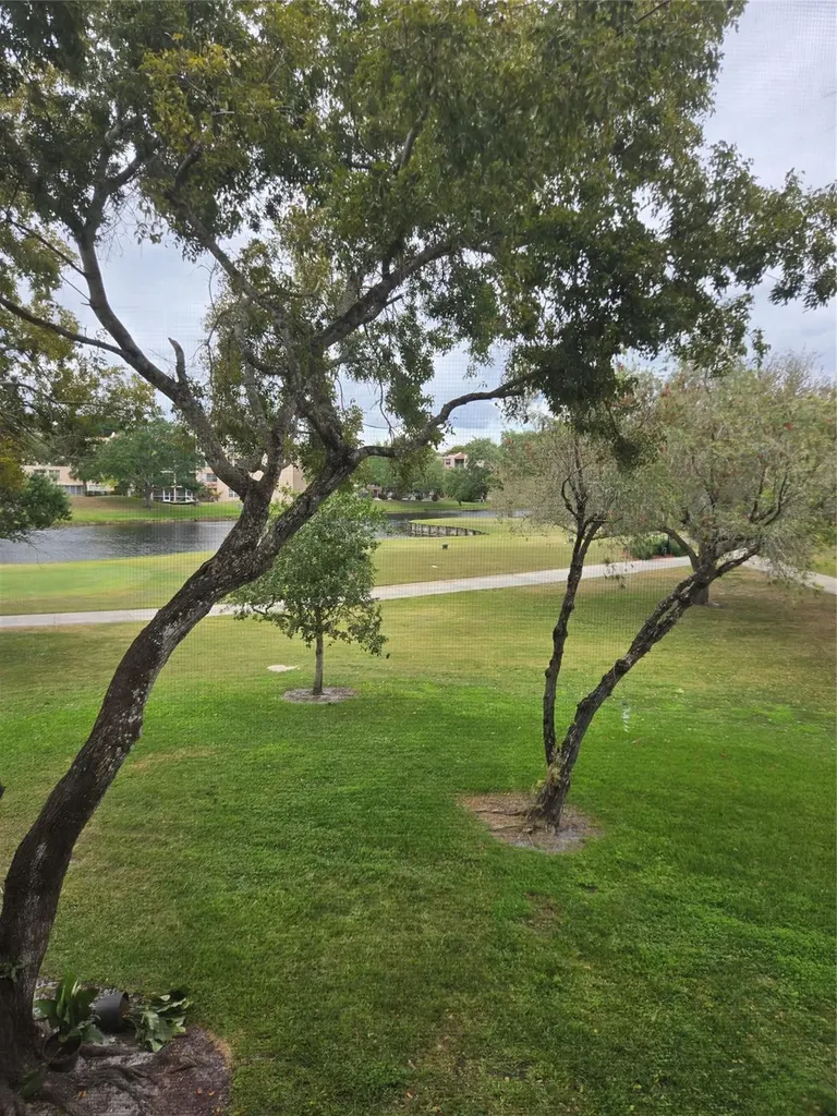 9531 Seagrape Drive Davie FL 33324