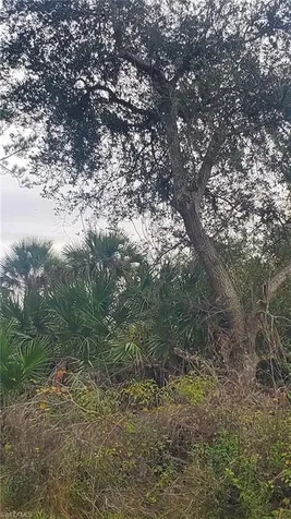 315 Ivanhoe Avenue Labelle FL 33935