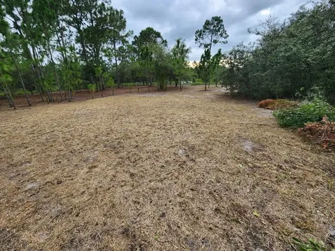 2925 W Bandra Road Avon Park FL 33825