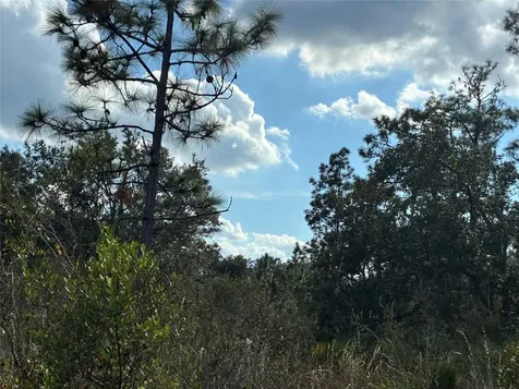 Lot 21 & 22 Plumosa Drive Indian Lake Estates FL