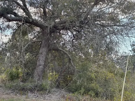 Lot 21 & 22 Plumosa Drive Indian Lake Estates FL