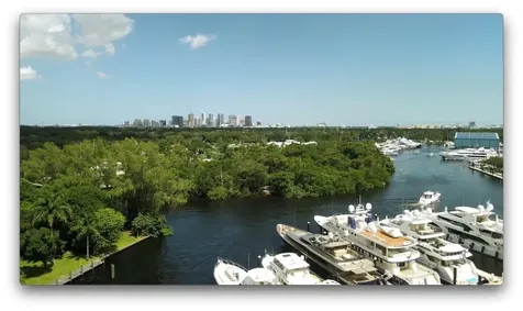 1446 SW 23rd Street Fort Lauderdale FL 33315