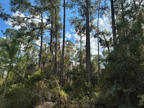 Lot 15 Park Avenue Indian Lake Estates FL
