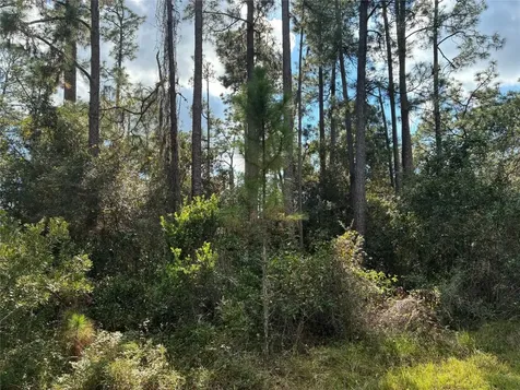 Lot 15 Park Avenue Indian Lake Estates FL