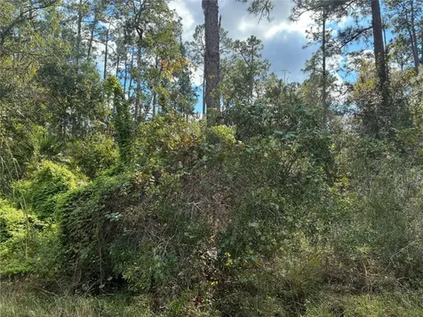 Lot 15 Park Avenue Indian Lake Estates FL
