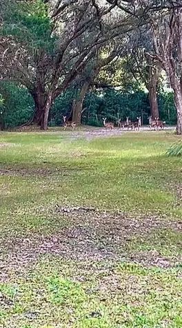 26250 Blackjack Street Brooksville FL 34601
