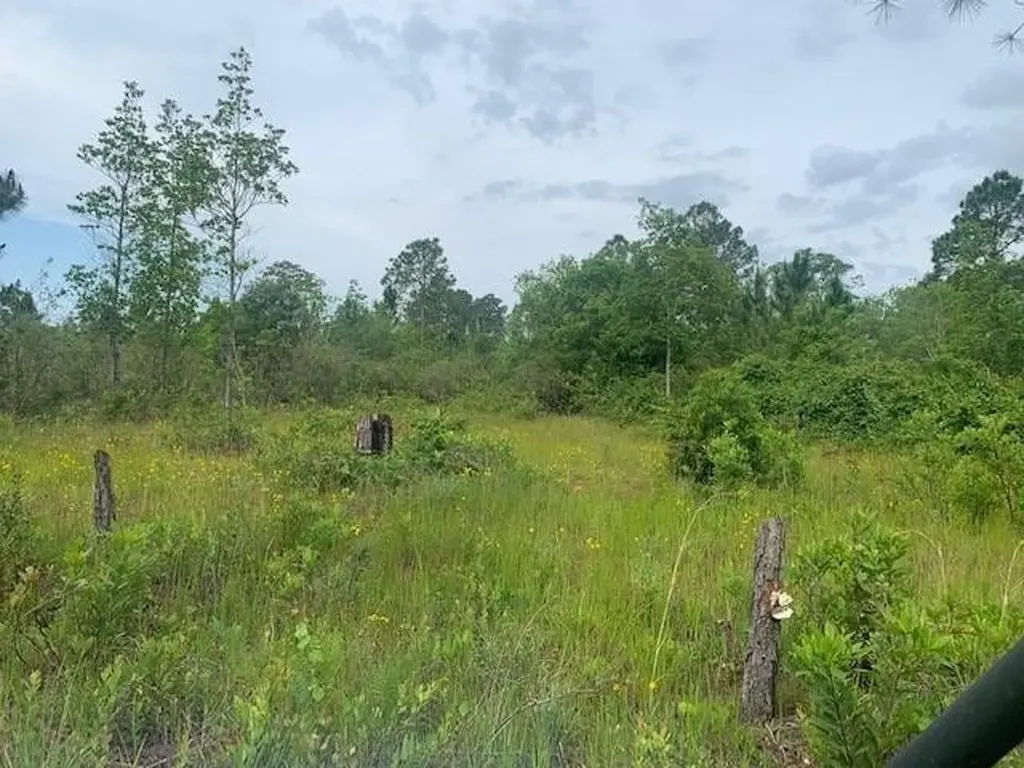 0 Holopaw Groves Road St. Cloud FL 34772