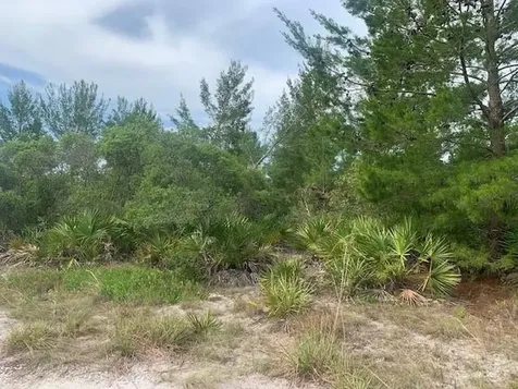 0 Holopaw Groves Road St. Cloud FL 34772