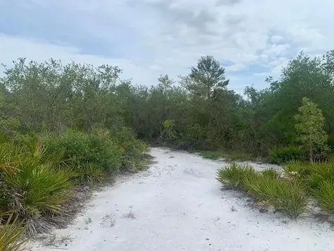 0 Holopaw Groves Road St. Cloud FL 34772