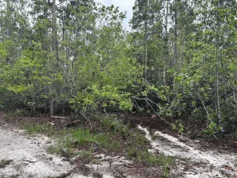 0 Holopaw Groves Road St. Cloud FL 34772
