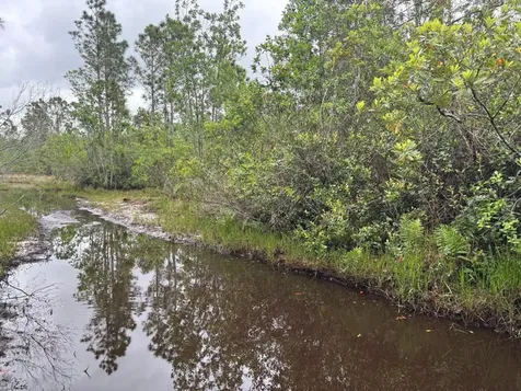 0 Holopaw Groves Road St. Cloud FL 34772