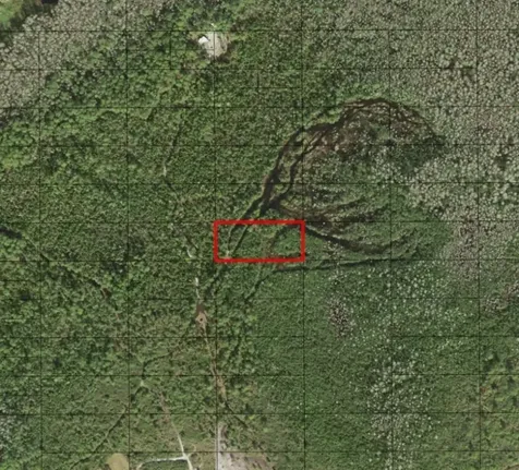 0 Holopaw Groves Road St. Cloud FL 34772