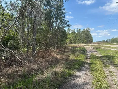 0 Holopaw Groves Road St. Cloud FL 34772