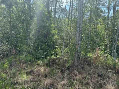 0 Holopaw Groves Road St. Cloud FL 34772