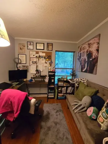 8515 Plumeria Avenue Orlando FL 32825