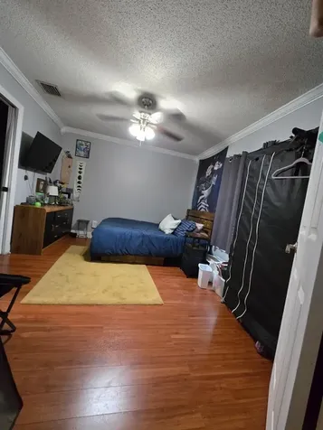8515 Plumeria Avenue Orlando FL 32825