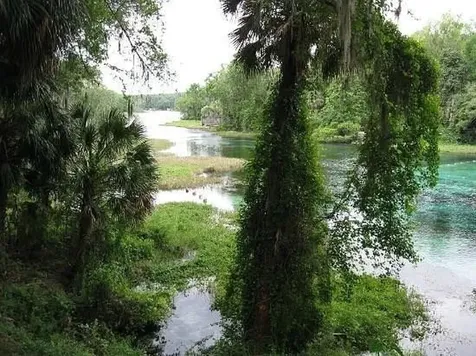 LOT1 SW Lot1 158th Court Ocala FL 34481