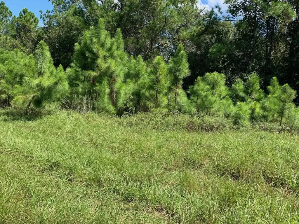 0 Old Grade Road Polk City FL 33868
