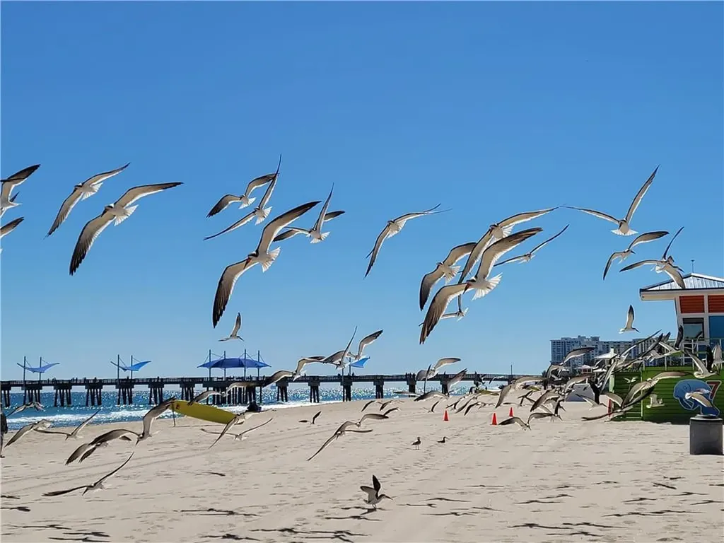 1009 N Ocean Boulevard Pompano Beach FL 33062