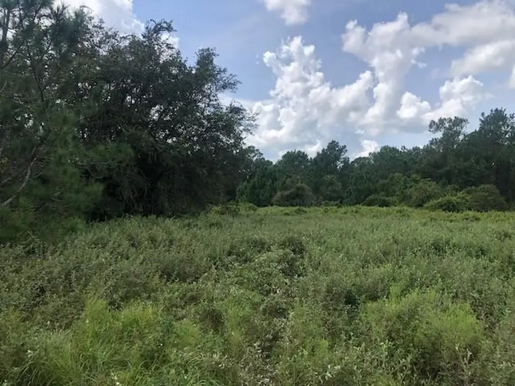 0 Old Grade Road Polk City FL 33868