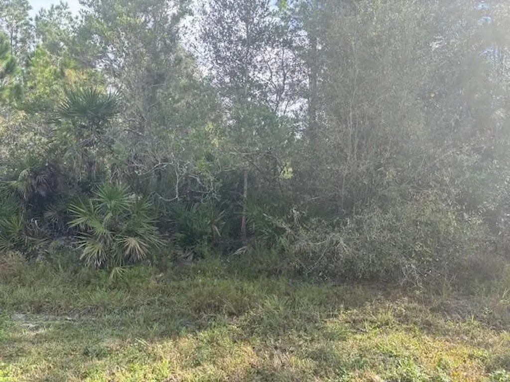 0 Old Grade Road Polk City FL 33868