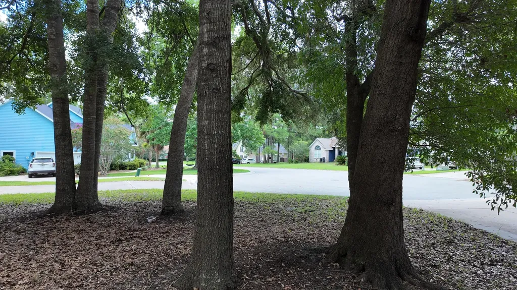 11444 NW 18th Lane Gainesville FL 32606