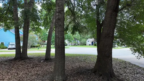 11444 NW 18th Lane Gainesville FL 32606