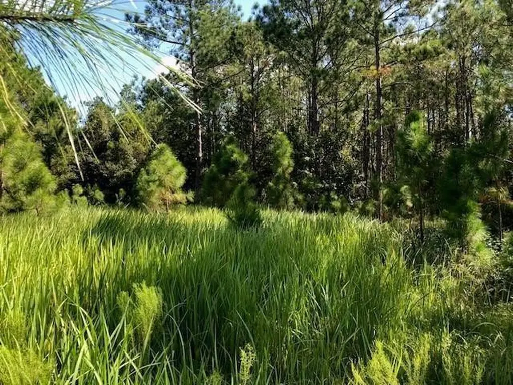 0 Old Grade Road Polk City FL 33868