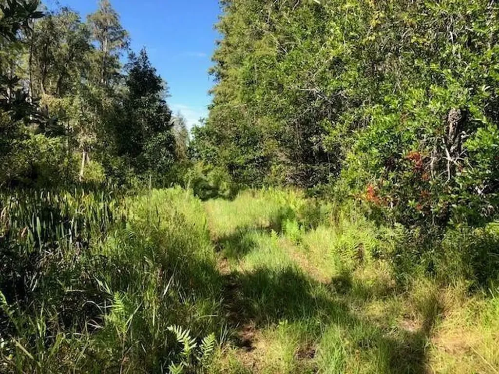 0 Old Grade Road Polk City FL 33868