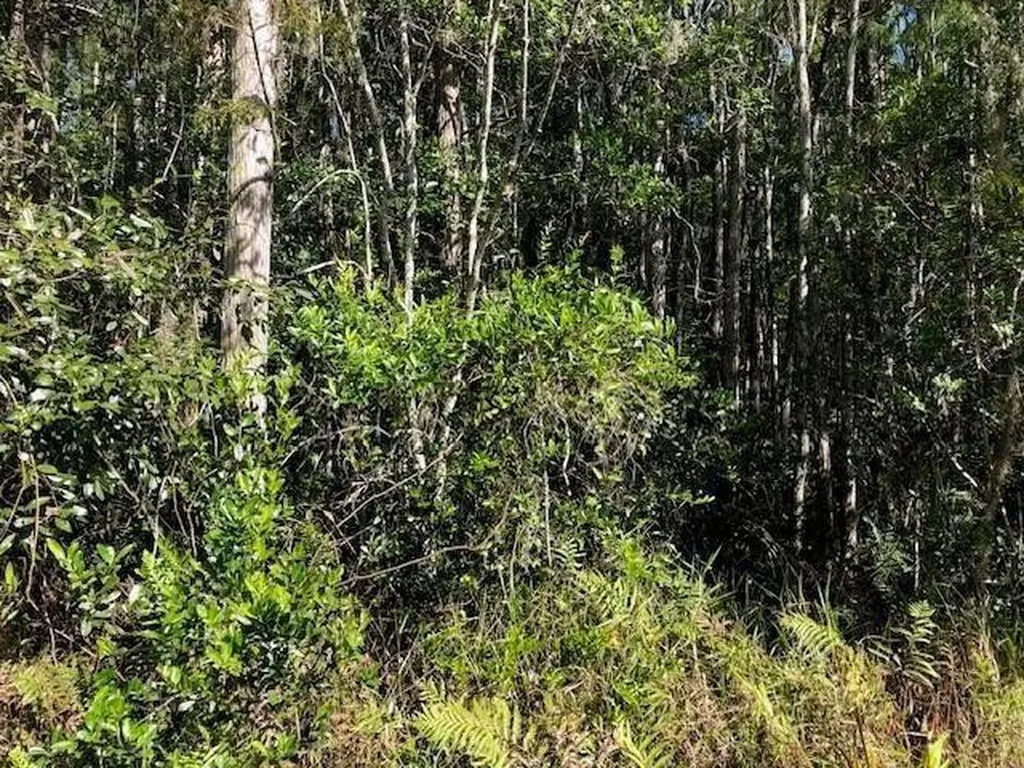 0 Old Grade Road Polk City FL 33868