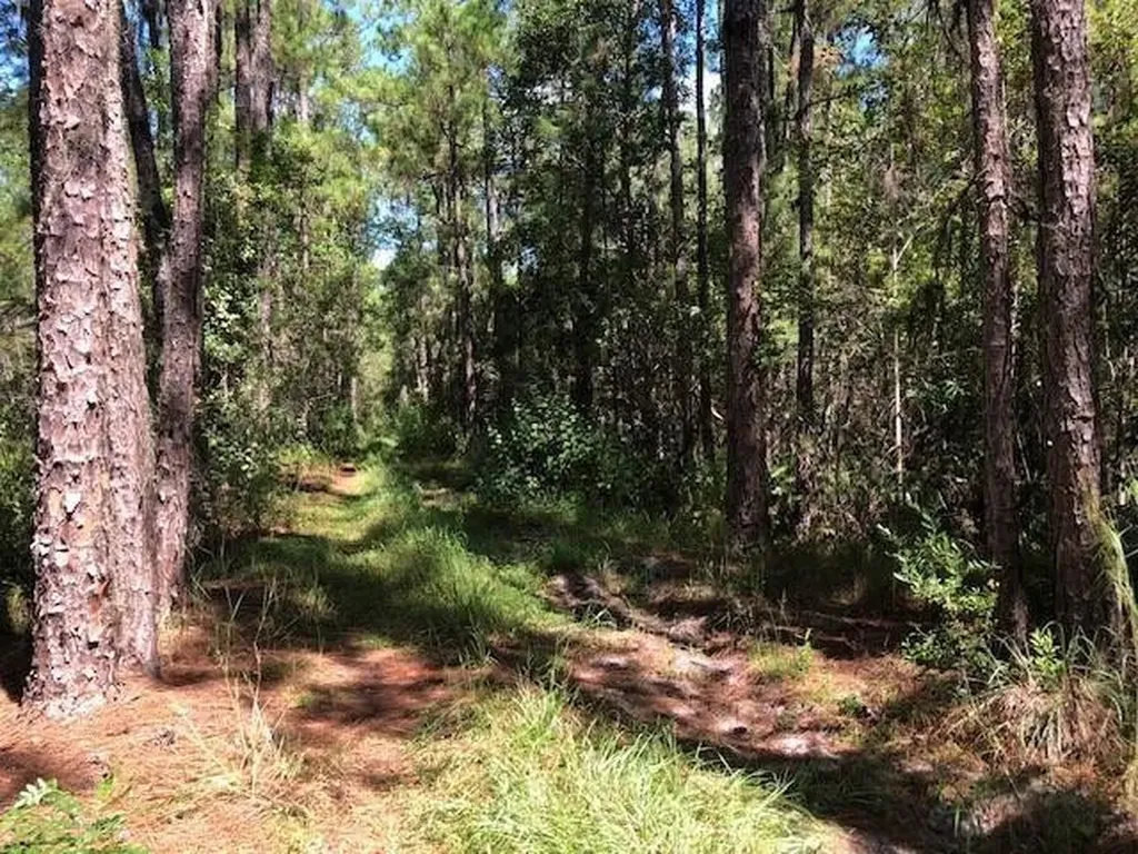 0 Old Grade Road Polk City FL 33868