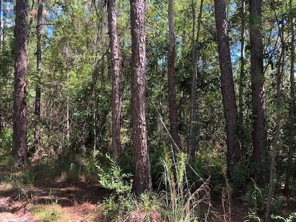 0 Old Grade Road Polk City FL 33868