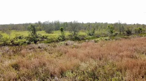 US-441 Okeechobee FL