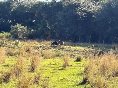 US-441 Okeechobee FL
