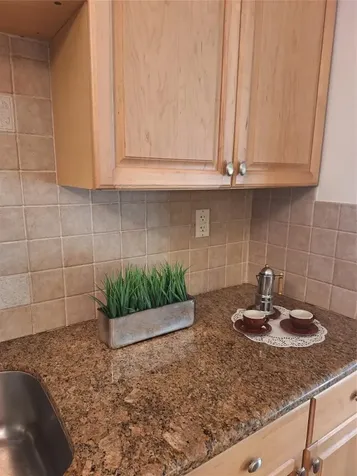 200 S Birch Fort Lauderdale FL 33316