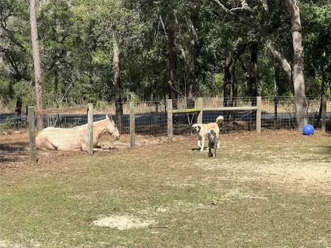 3050 E Possum Court Inverness FL 34452