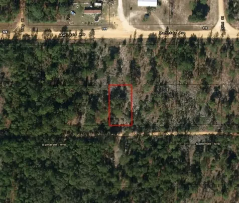 0 Somerset Avenue Interlachen FL 32148