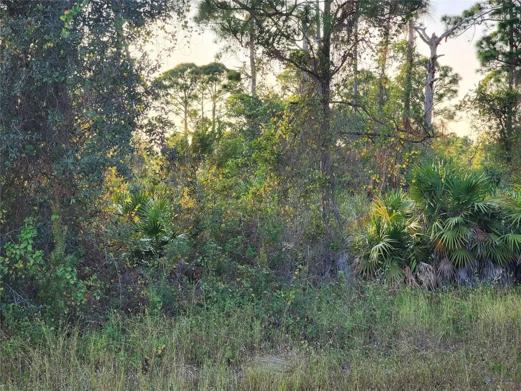 842 Genoa Avenue Lehigh Acres FL 33974