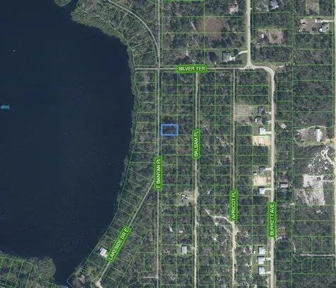 6512 E Banyan Place Sebring FL 33875