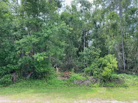 2351 Allamanda Drive Indian Lake Estates FL