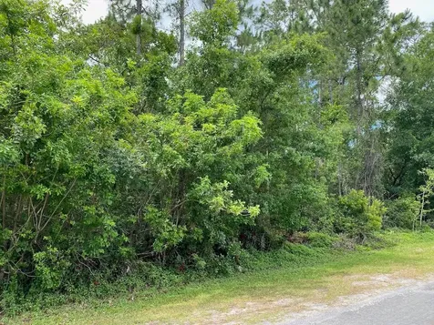 2351 Allamanda Drive Indian Lake Estates FL