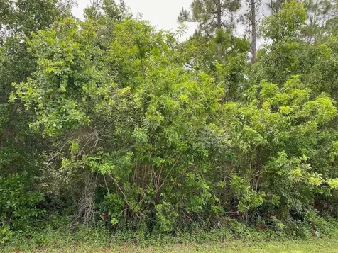 2351 Allamanda Drive Indian Lake Estates FL