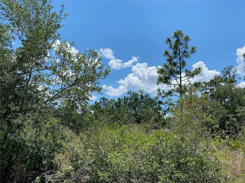 Lot 24 Indian Lake Drive Indian Lake Estates FL